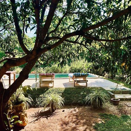 Shan Mango Homestay 시기리야 외부 사진