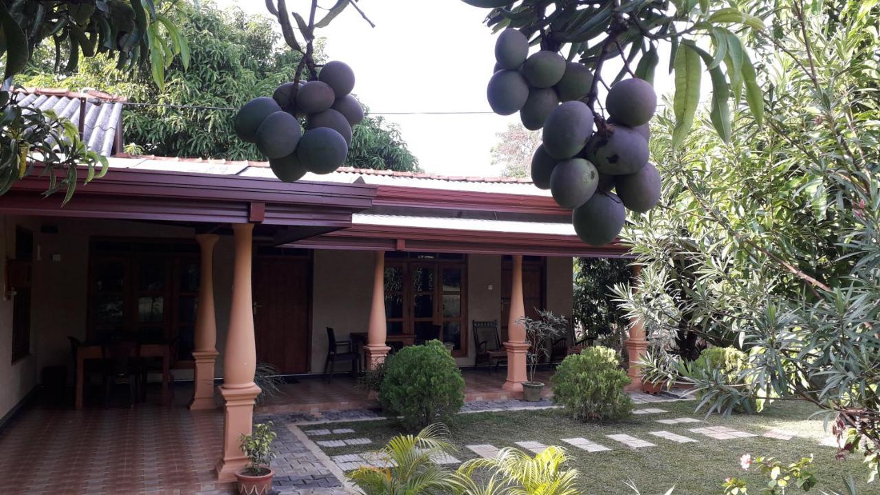 Shan Mango Homestay 시기리야 외부 사진