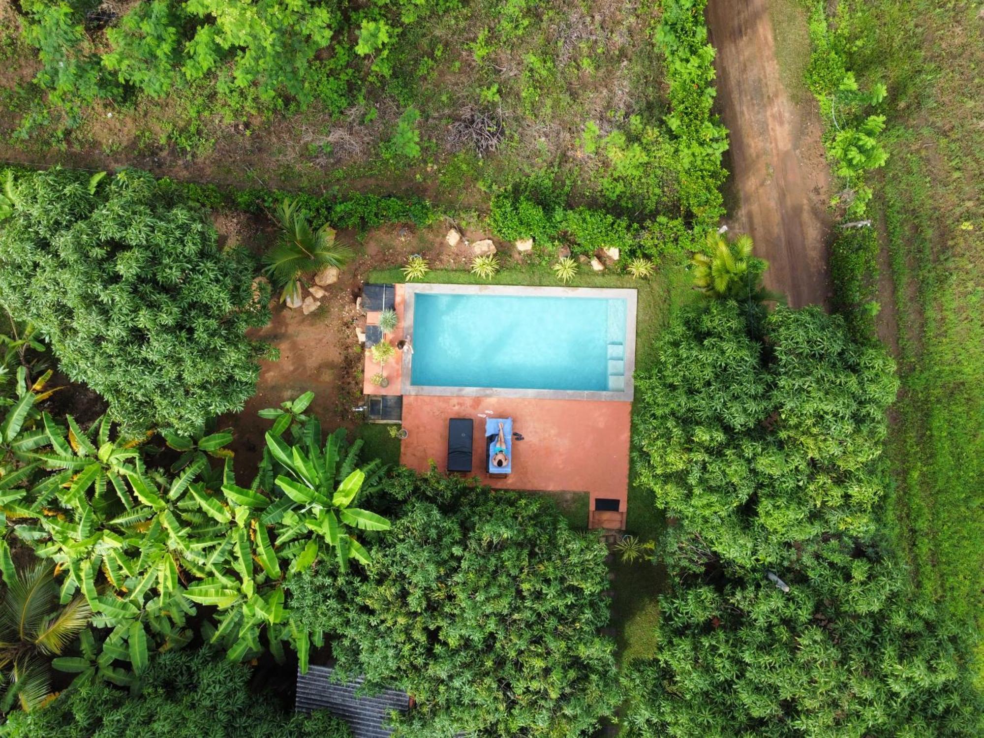 Shan Mango Homestay 시기리야 외부 사진
